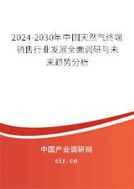 2024-2030年中國天然氣終端銷售行業發展全面調研與未來趨勢分析