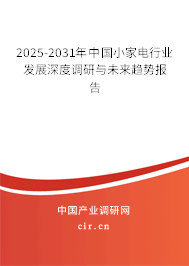 2025-2031年中國小家電行業發展深度調研與未來趨勢報告