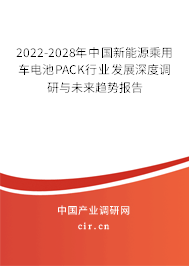 2022-2028年中國新能源乘用車電池PACK行業(yè)發(fā)展深度調(diào)研與未來趨勢報告