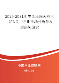 2025-2031年中國壓縮天然氣（CNG）行業市場分析與發展趨勢研究