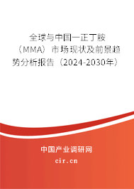 全球與中國(guó)一正丁胺（MMA）市場(chǎng)現(xiàn)狀及前景趨勢(shì)分析報(bào)告（2024-2030年）