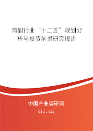 丙酮行業“十二五”規劃分析與投資前景研究報告