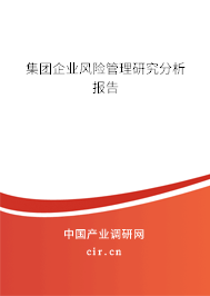 集團企業風險管理研究分析報告