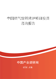 中國燃氣旋轉烤爐項目投資咨詢報告