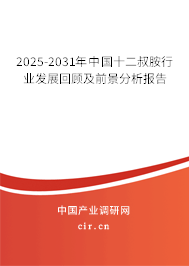 2025-2031年中國十二叔胺行業發展回顧及前景分析報告