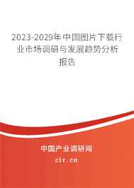 2023-2029年中國圖片下載行業市場調研與發展趨勢分析報告