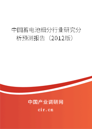 中國蓄電池細分行業研究分析預測報告（2012版）
