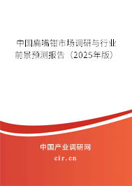 中國扁嘴鉗市場調研與行業前景預測報告（2025年版）