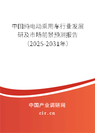 中國純電動乘用車行業發展研及市場前景預測報告（2025-2031年）