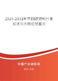 2025-2031年中國磁鐵粉行業現狀與市場前景報告