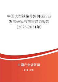 中國大型鐵路養路機械行業發展研究與前景趨勢報告（2025-2031年）