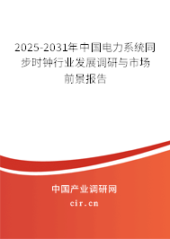 2025-2031年中國電力系統同步時鐘行業發展調研與市場前景報告