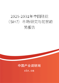 2025-2031年中國硅烷（SiH?）市場研究與前景趨勢報告
