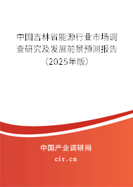 中國吉林省能源行業市場調查研究及發展前景預測報告（2025年版）