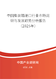 中國集裝箱港口行業市場調研與發展趨勢分析報告（2025年）