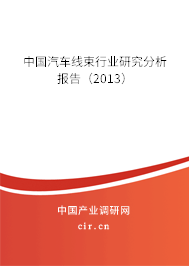 中國汽車線束行業研究分析報告（2013）