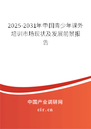 2025-2031年中國青少年課外培訓(xùn)市場現(xiàn)狀及發(fā)展前景報告
