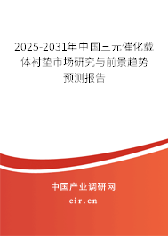 2025-2031年中國三元催化載體襯墊市場研究與前景趨勢預(yù)測報告
