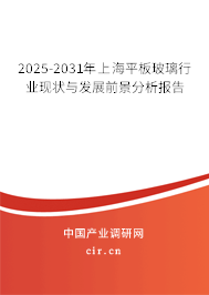 2025-2031年上海平板玻璃行業現狀與發展前景分析報告