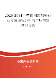 2025-2031年中國同態加密行業發展研究分析與市場前景預測報告