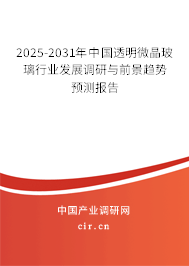 2025-2031年中國透明微晶玻璃行業發展調研與前景趨勢預測報告
