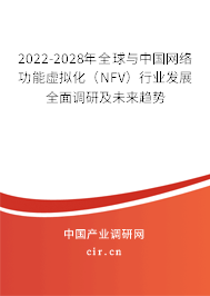 2022-2028年全球與中國網絡功能虛擬化（NFV）行業發展全面調研及未來趨勢