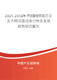 2025-2031年中國網絡婚戀交友市場深度調查分析及發展趨勢研究報告