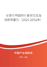 全球與中國芴行業研究及發展趨勢報告（2025-2031年）