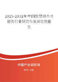 2025-2031年中國智慧城市IT服務行業研究與發展前景報告