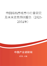 中國緞檔方格方巾行業(yè)研究及未來走勢預(yù)測報告（2025-2031年）