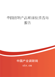 中國音響產品項目投資咨詢報告