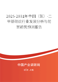 2025-2031年中國（氯）-二甲基硅烷行業發展分析與前景趨勢預測報告