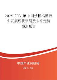 2025-2031年中國沙糖橘苗行業發展現狀調研及未來走勢預測報告