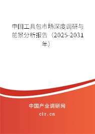 中國(guó)工具包市場(chǎng)深度調(diào)研與前景分析報(bào)告（2024-2030年）