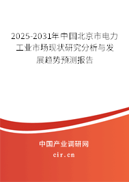 2025-2031年中國北京市電力工業市場現狀研究分析與發展趨勢預測報告