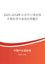 2025-2031年北京市小微金融市場現狀與發展前景報告