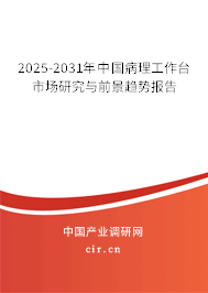2025-2031年中國病理工作臺市場研究與前景趨勢報告