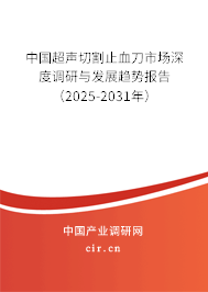 中國超聲切割止血刀市場深度調研與發展趨勢報告（2025-2031年）