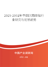 2025-2031年中國沉箱基礎行業研究與前景趨勢