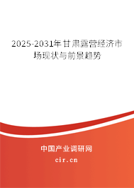 2025-2031年甘肅露營經濟市場現狀與前景趨勢