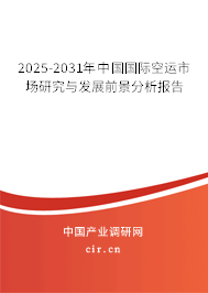 2025-2031年中國國際空運市場研究與發展前景分析報告