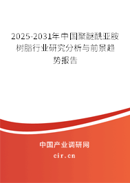 2025-2031年中國聚醚酰亞胺樹脂行業(yè)研究分析與前景趨勢報告