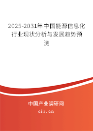 2025-2031年中國能源信息化行業現狀分析與發展趨勢預測