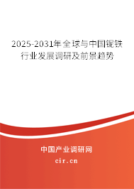 2025-2031年全球與中國鈮鐵行業發展調研及前景趨勢