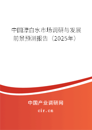 中國(guó)漂白水市場(chǎng)調(diào)研與發(fā)展前景預(yù)測(cè)報(bào)告（2025年）