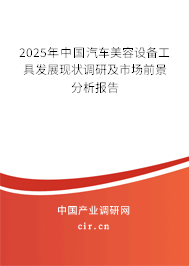 2025年中國汽車美容設備工具發展現狀調研及市場前景分析報告