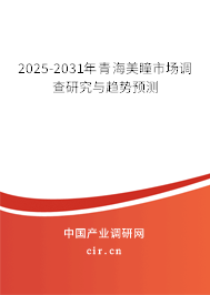 2025-2031年青海美瞳市場調查研究與趨勢預測