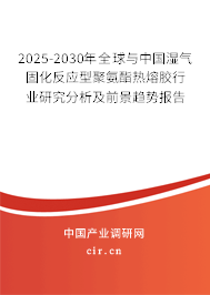 2025-2030年全球與中國濕氣固化反應型聚氨酯熱熔膠行業研究分析及前景趨勢報告