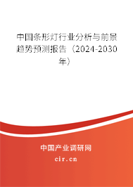 中國條形燈行業分析與前景趨勢預測報告（2024-2030年）