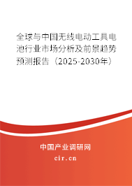 全球與中國無線電動工具電池行業市場分析及前景趨勢預測報告（2025-2030年）
